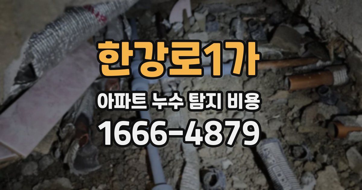 한강로1가 아파트 누수 탐지 비용