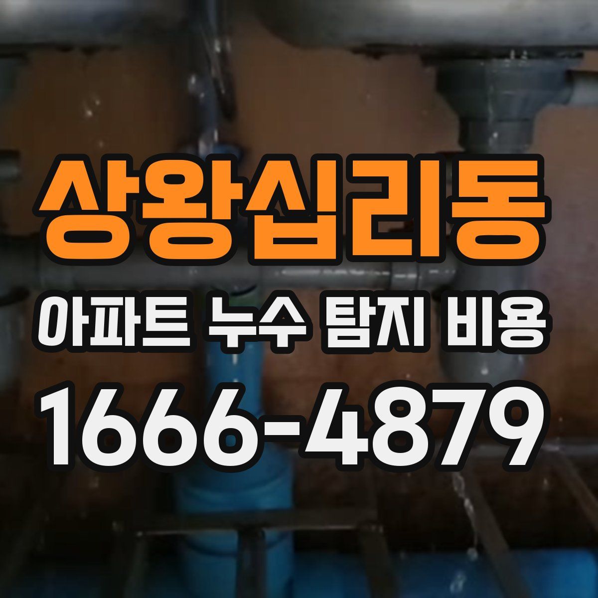 상왕십리동 아파트 누수 탐지 비용