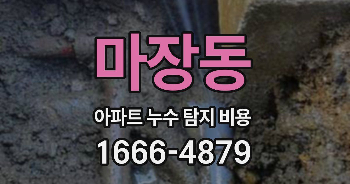 마장동 아파트 누수 탐지 비용