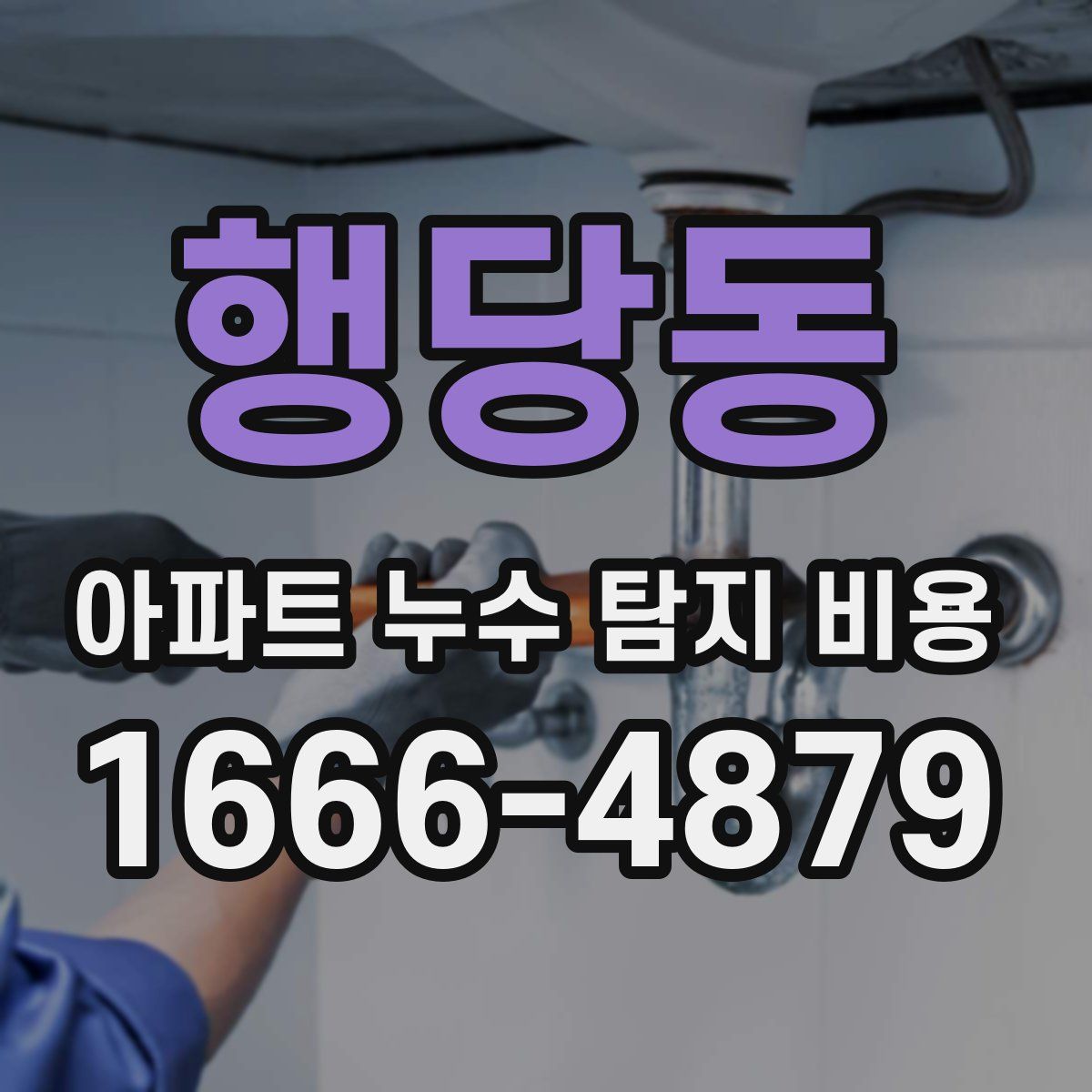 행당동 아파트 누수 탐지 비용