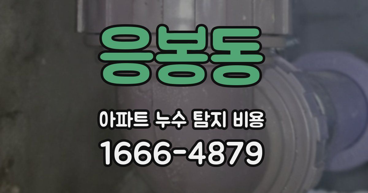 응봉동 아파트 누수 탐지 비용