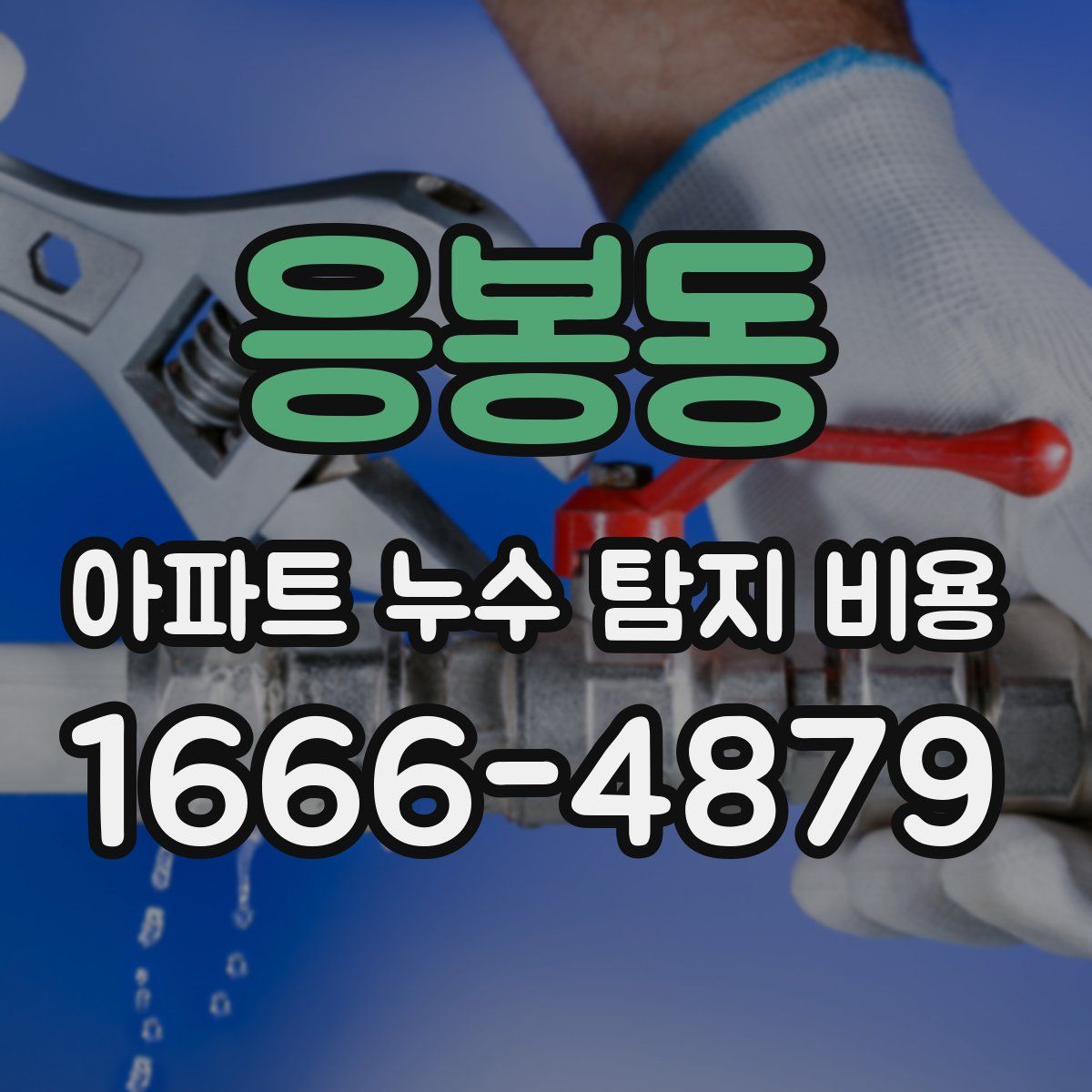 응봉동 아파트 누수 탐지 비용