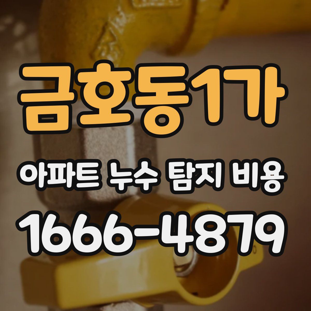 금호동1가 아파트 누수 탐지 비용