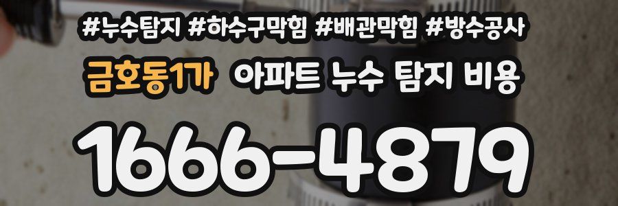 금호동1가 아파트 누수 탐지 비용