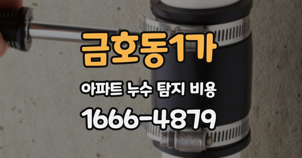 금호동1가 아파트 누수 탐지 비용