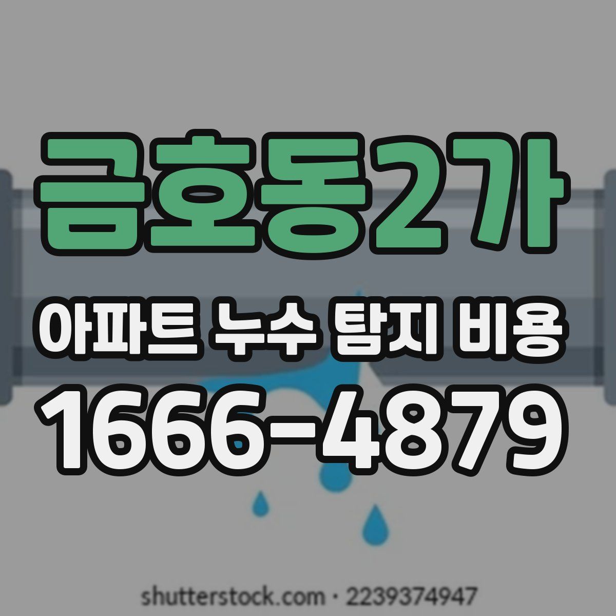금호동2가 아파트 누수 탐지 비용