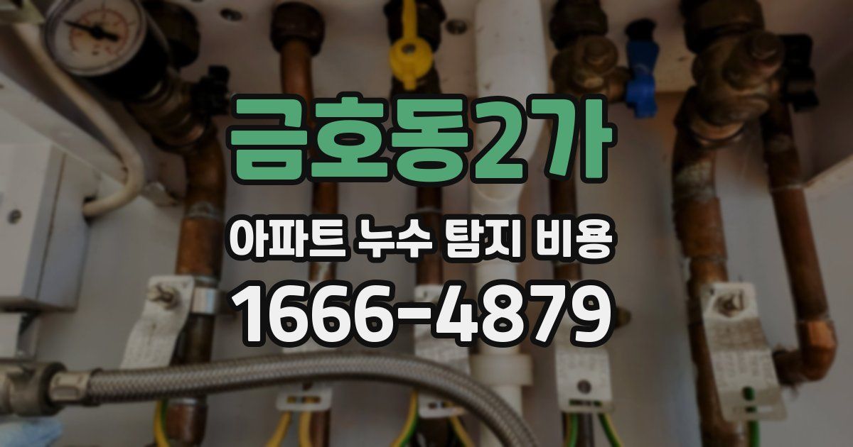 금호동2가 아파트 누수 탐지 비용