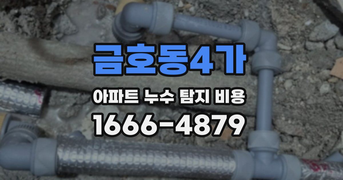 금호동4가 아파트 누수 탐지 비용