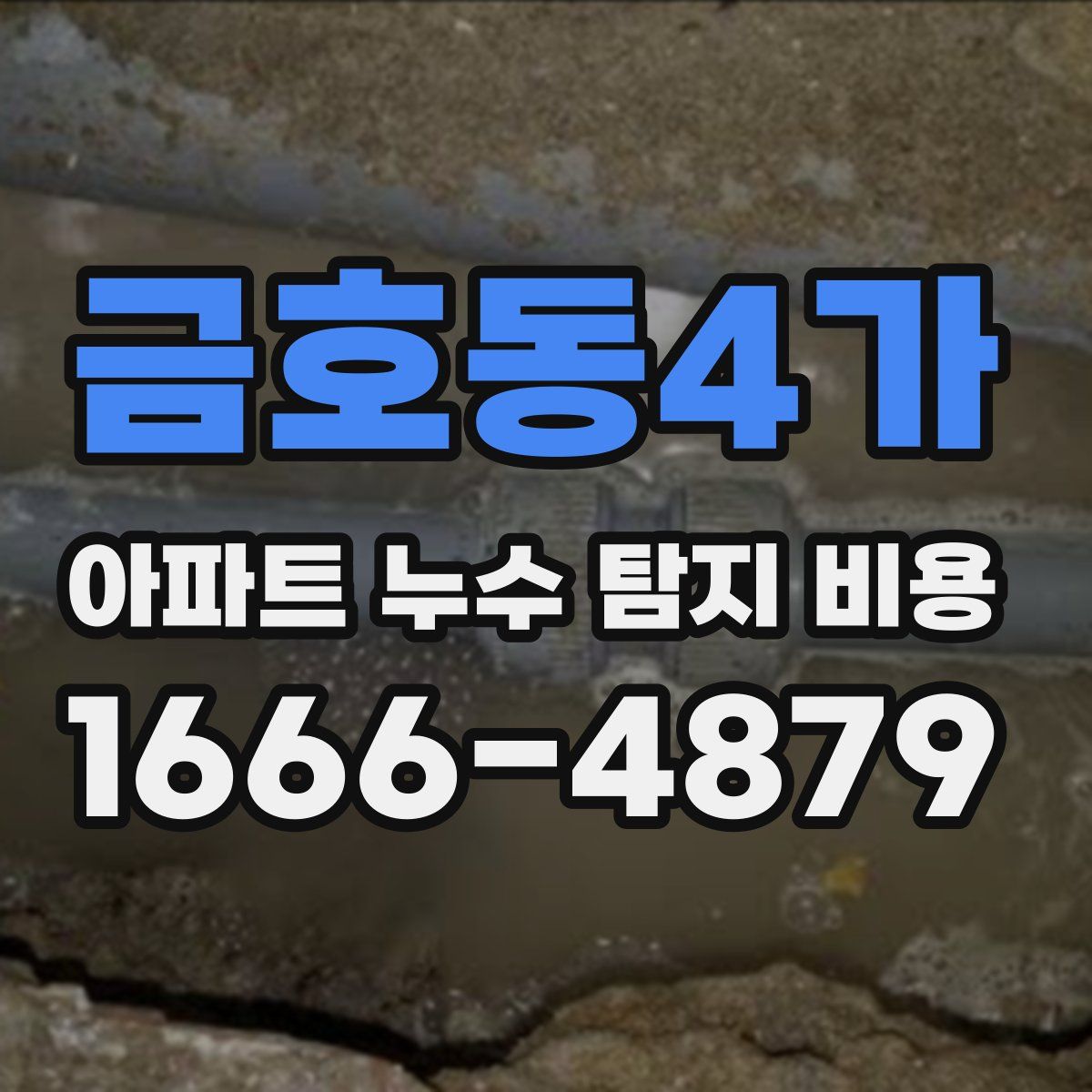 금호동4가 아파트 누수 탐지 비용
