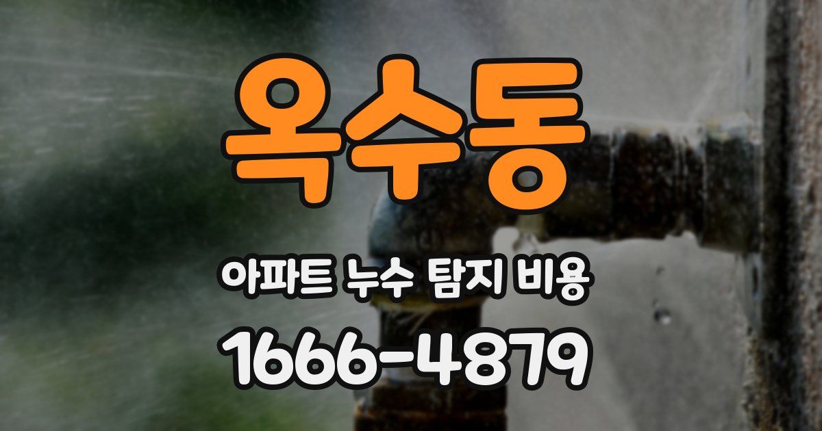 옥수동 아파트 누수 탐지 비용