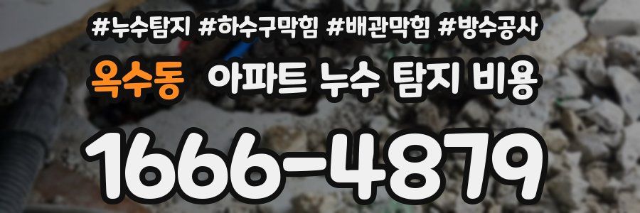 옥수동 아파트 누수 탐지 비용