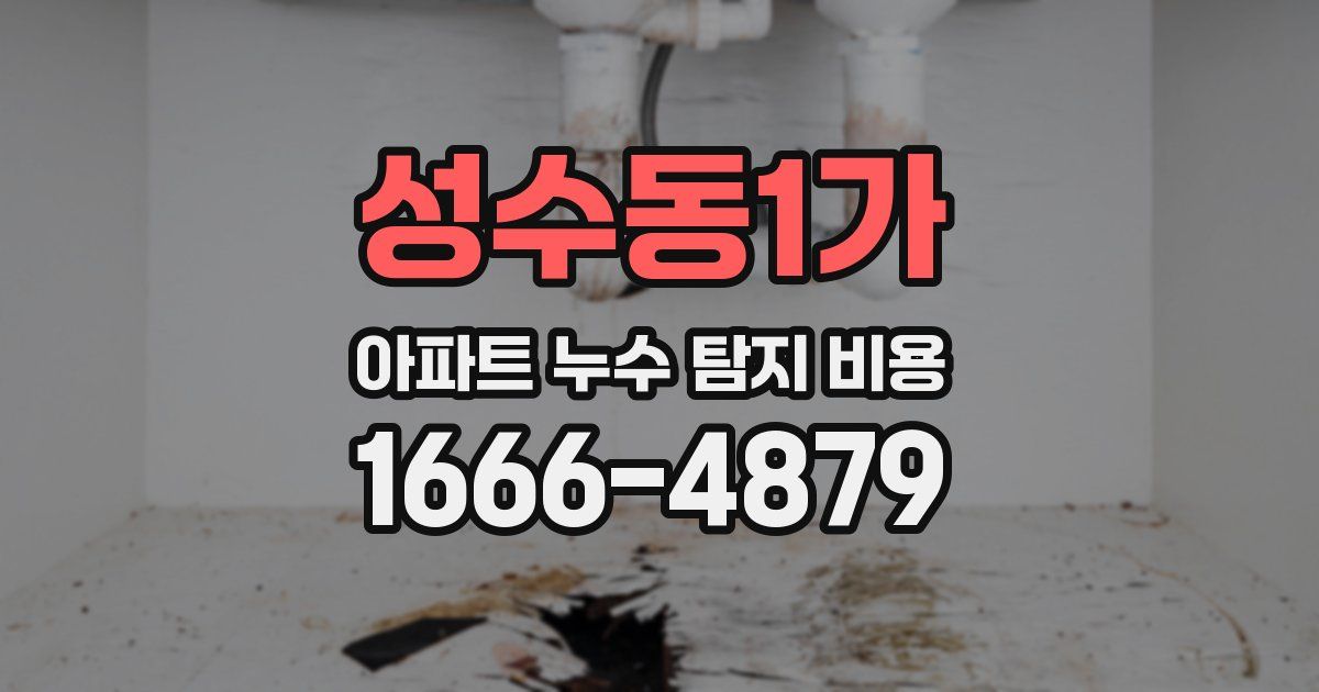 성수동1가 아파트 누수 탐지 비용