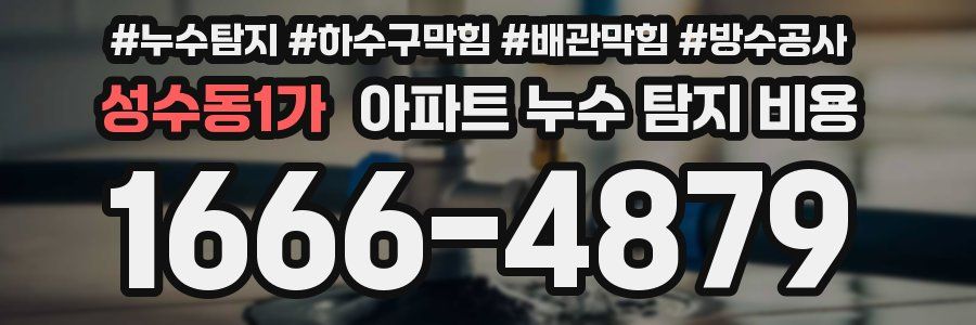 성수동1가 아파트 누수 탐지 비용