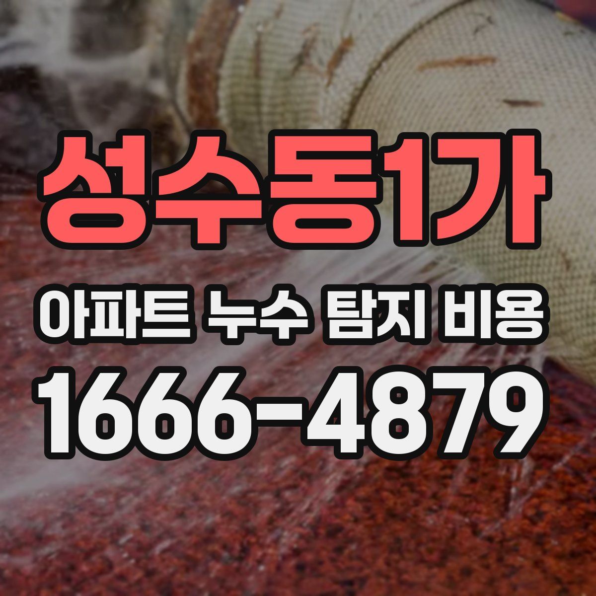 성수동1가 아파트 누수 탐지 비용