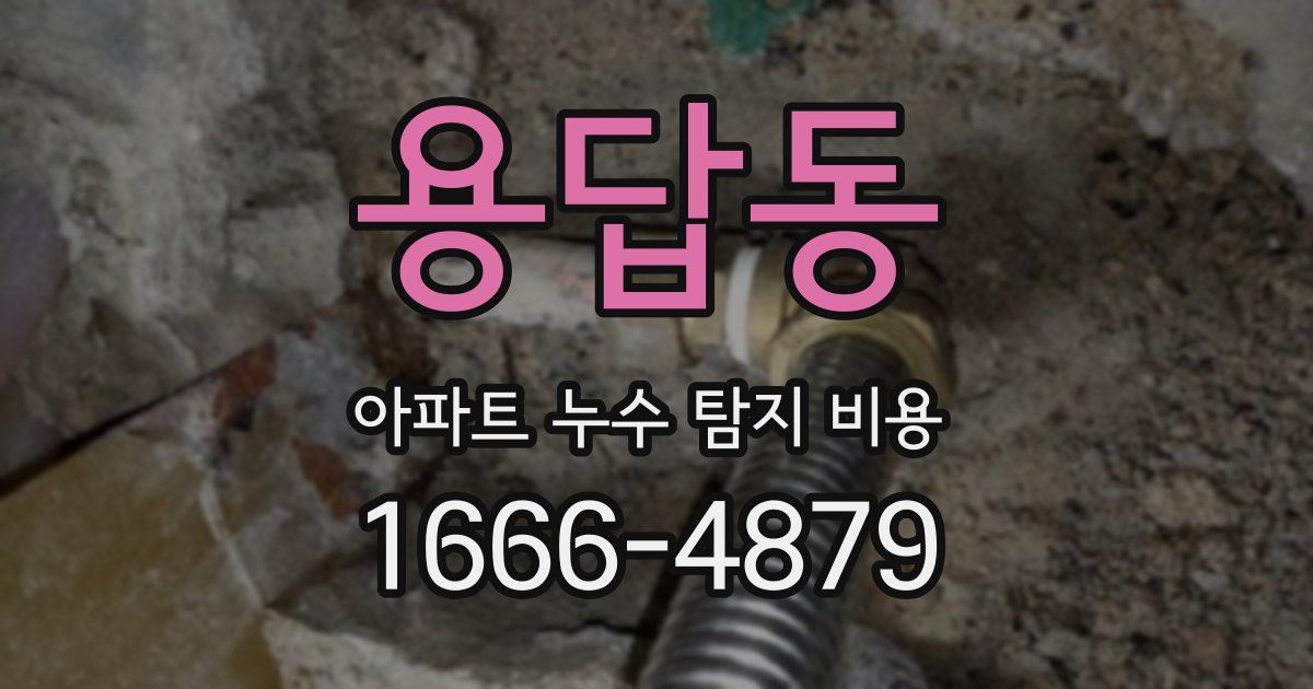 용답동 아파트 누수 탐지 비용