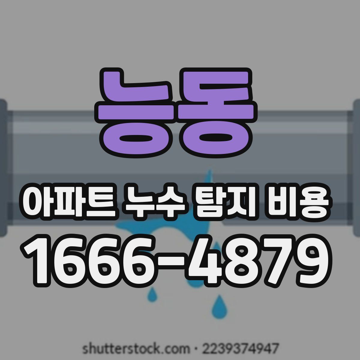 능동 아파트 누수 탐지 비용