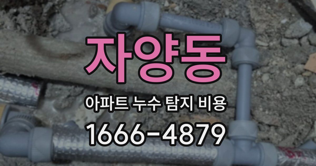 자양동 아파트 누수 탐지 비용