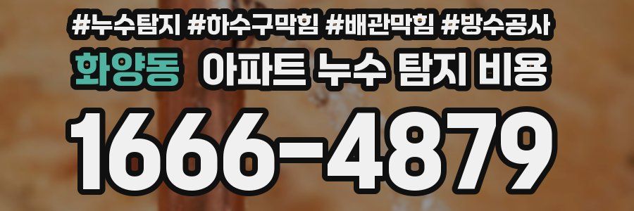 화양동 아파트 누수 탐지 비용