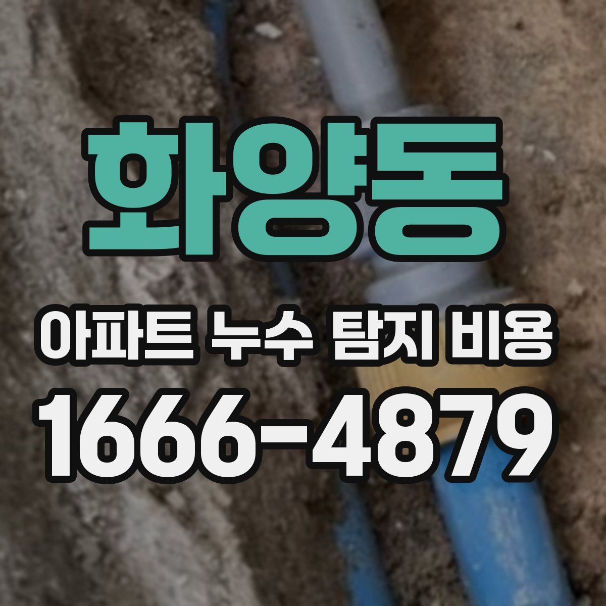 화양동 아파트 누수 탐지 비용