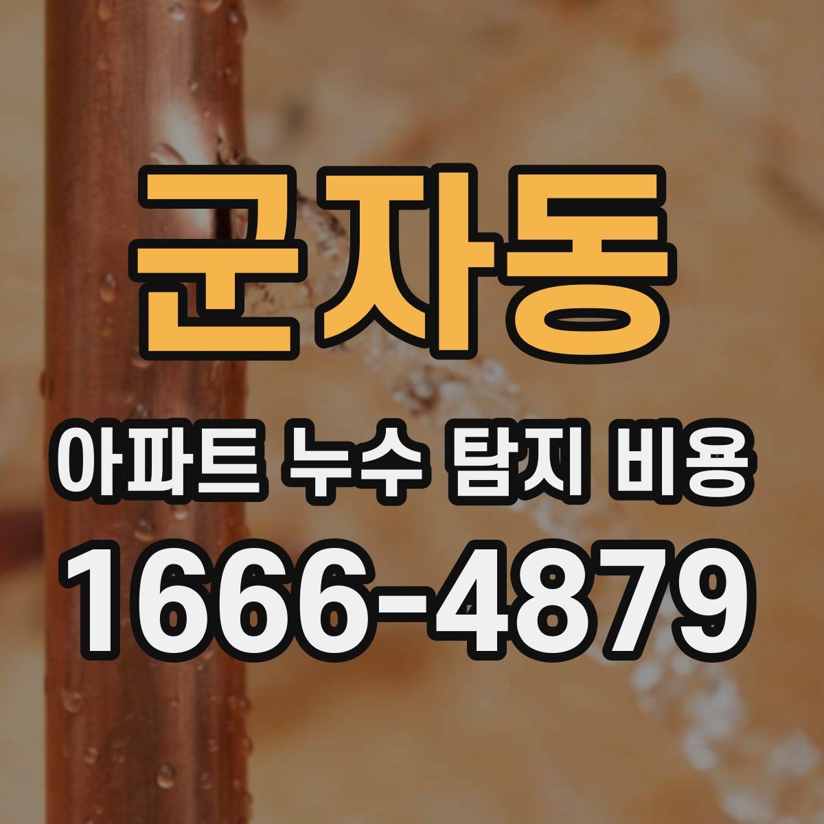 군자동 아파트 누수 탐지 비용
