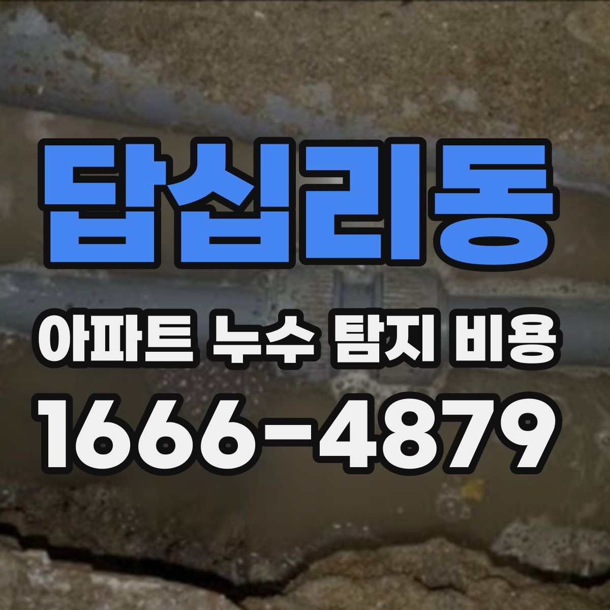 답십리동 아파트 누수 탐지 비용