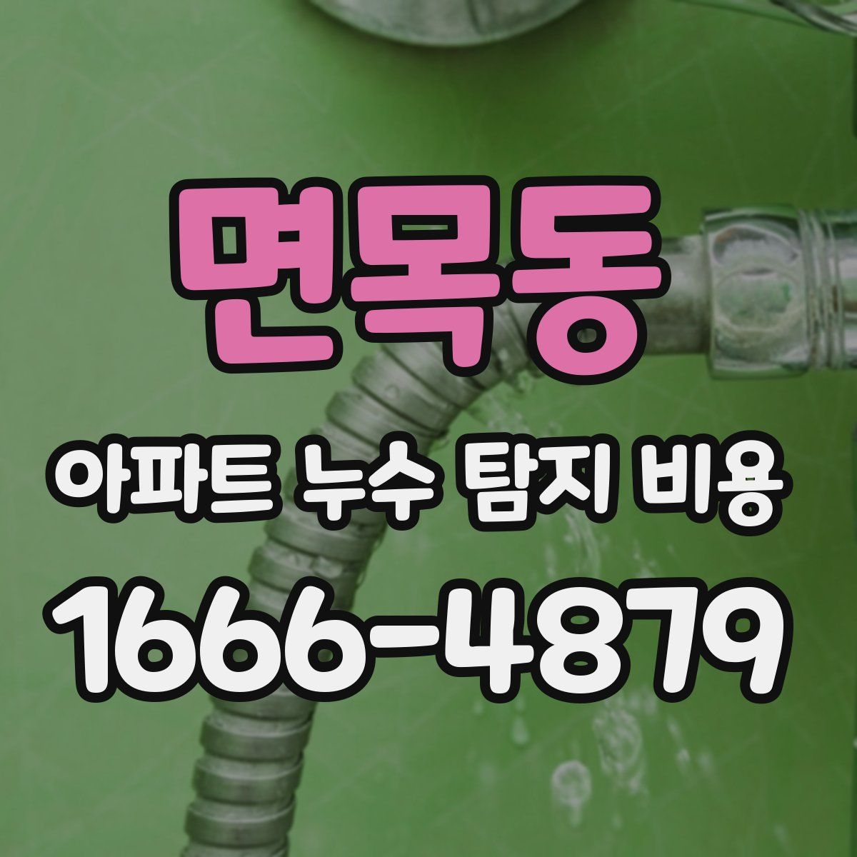 면목동 아파트 누수 탐지 비용