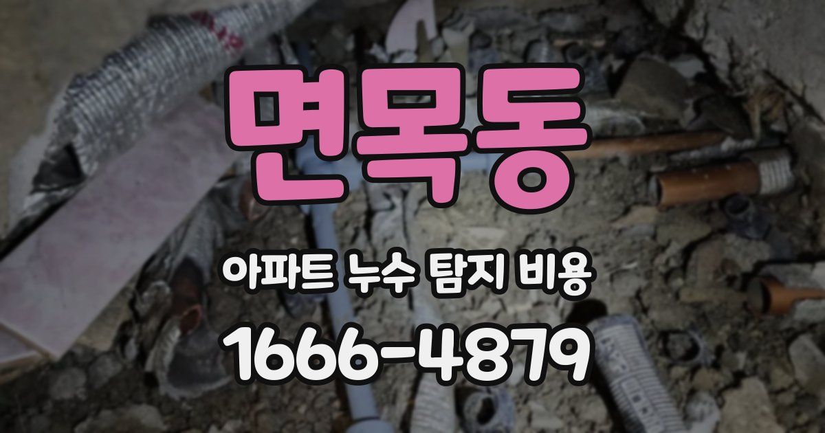 면목동 아파트 누수 탐지 비용