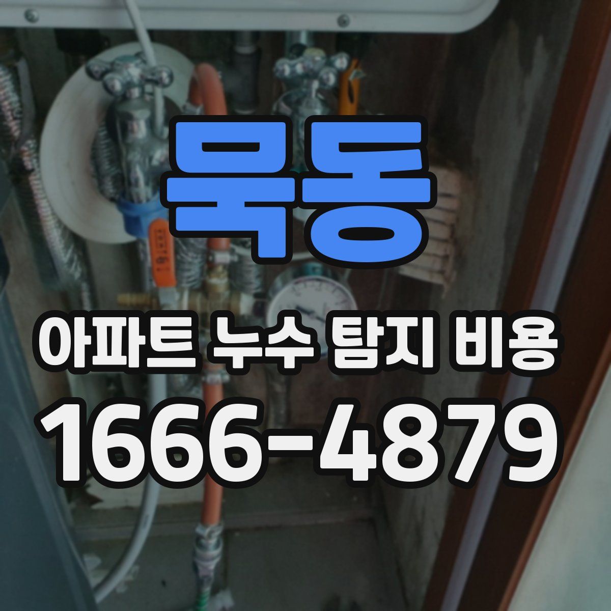 묵동 아파트 누수 탐지 비용