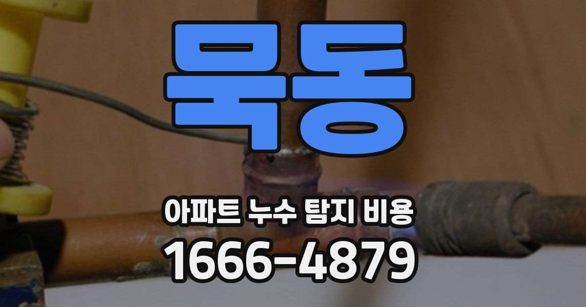묵동 아파트 누수 탐지 비용