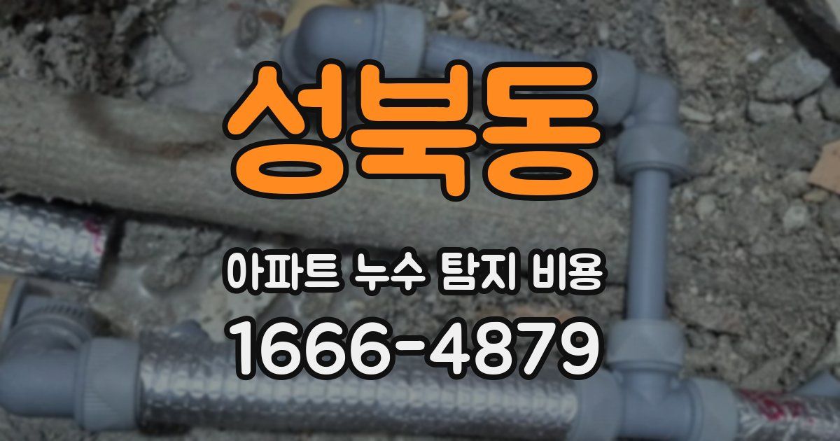 성북동 아파트 누수 탐지 비용