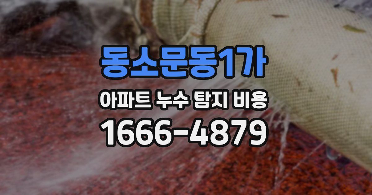 동소문동1가 아파트 누수 탐지 비용