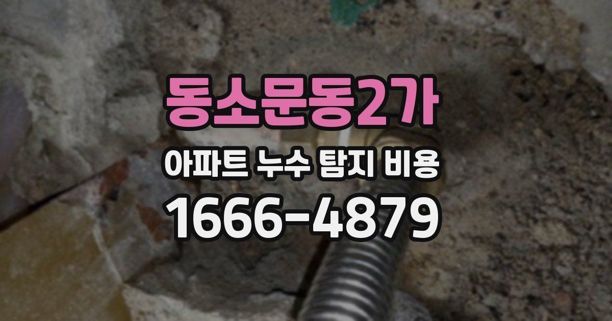 동소문동2가 아파트 누수 탐지 비용