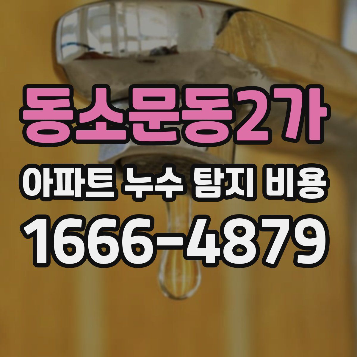 동소문동2가 아파트 누수 탐지 비용