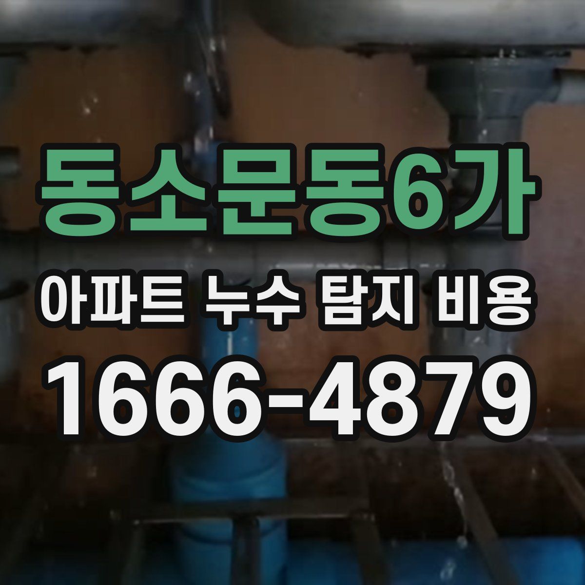 동소문동6가 아파트 누수 탐지 비용