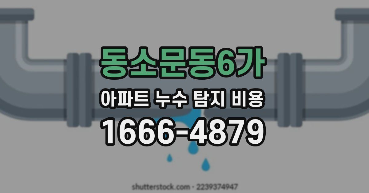 동소문동6가 아파트 누수 탐지 비용