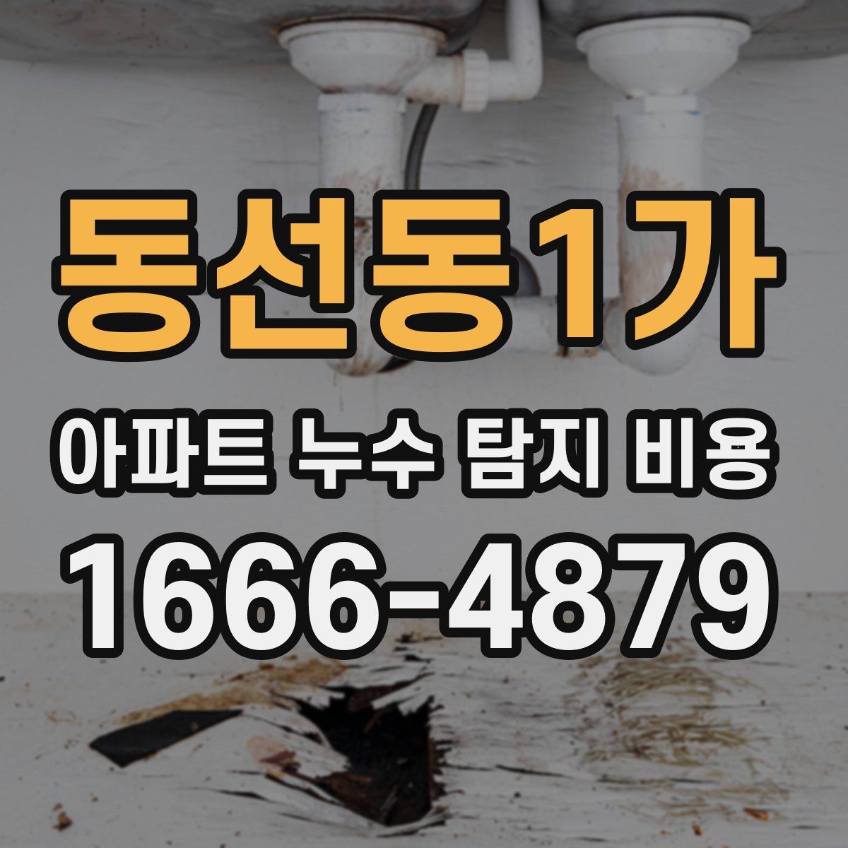 동선동1가 아파트 누수 탐지 비용