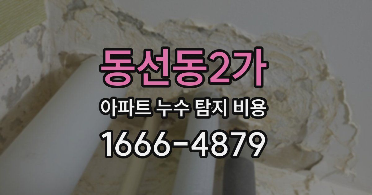동선동2가 아파트 누수 탐지 비용