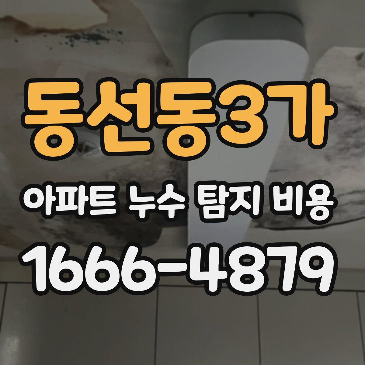 동선동3가 아파트 누수 탐지 비용