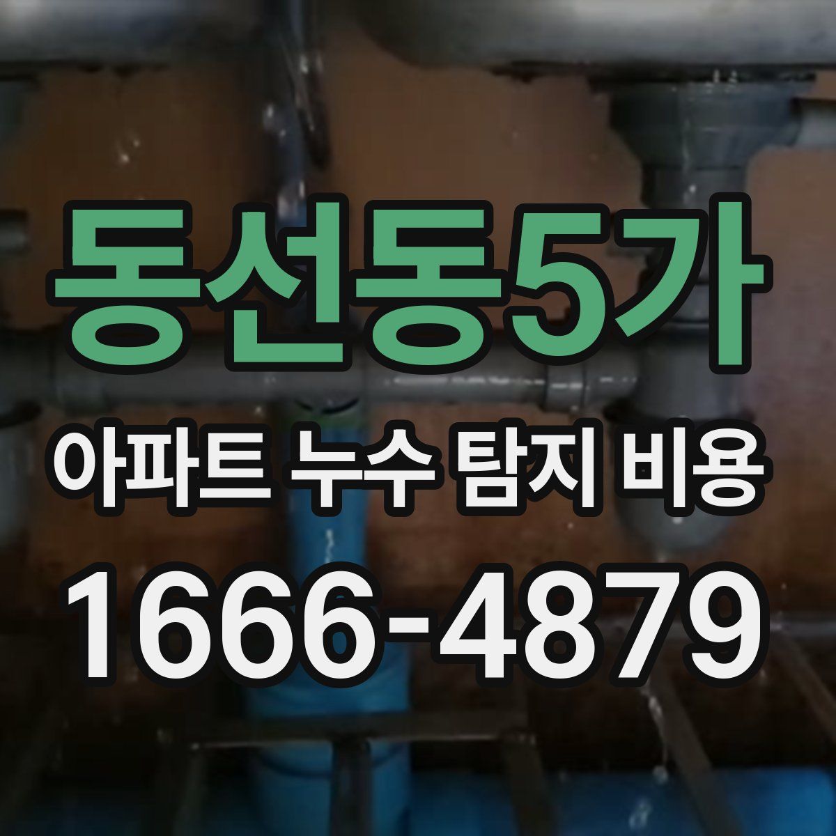 동선동5가 아파트 누수 탐지 비용