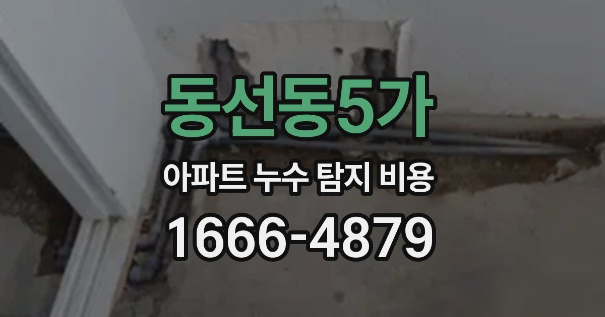 동선동5가 아파트 누수 탐지 비용