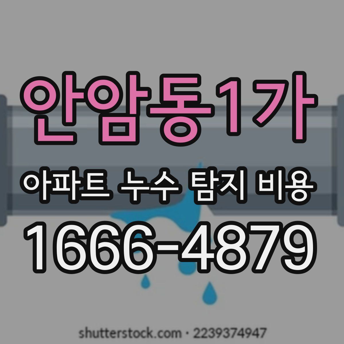 안암동1가 아파트 누수 탐지 비용