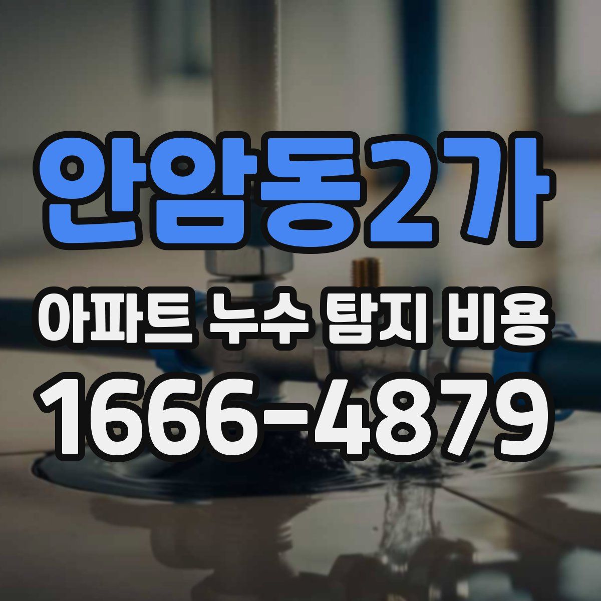 안암동2가 아파트 누수 탐지 비용