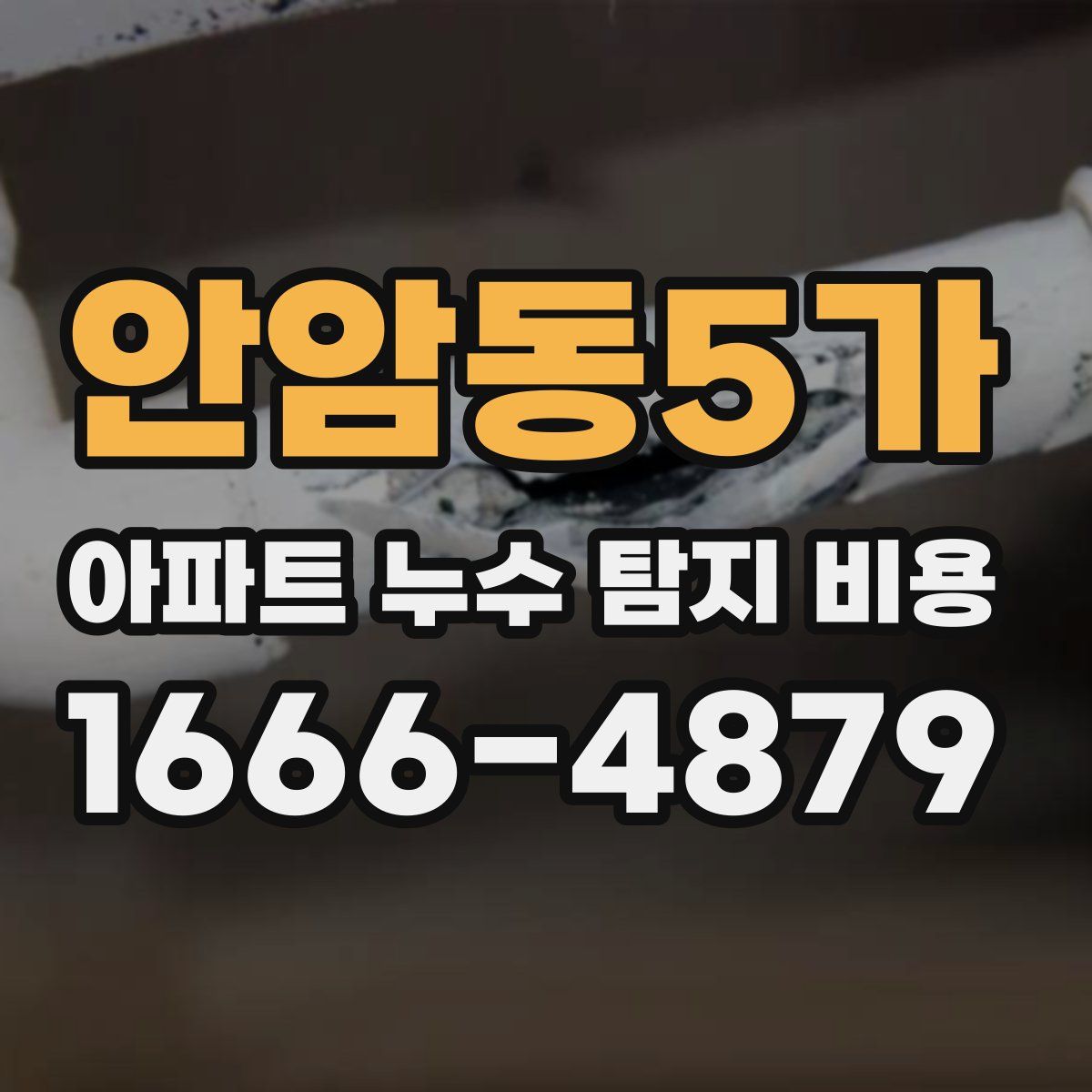 안암동5가 아파트 누수 탐지 비용