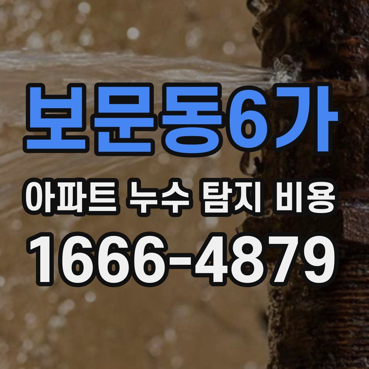 보문동6가 아파트 누수 탐지 비용