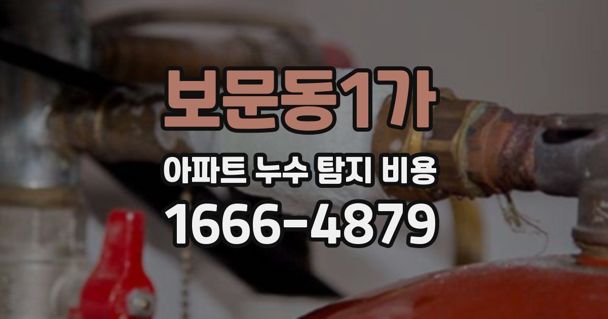 보문동1가 아파트 누수 탐지 비용