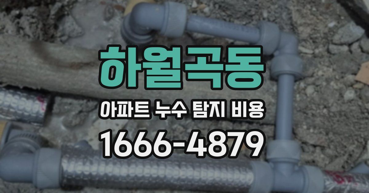 하월곡동 아파트 누수 탐지 비용