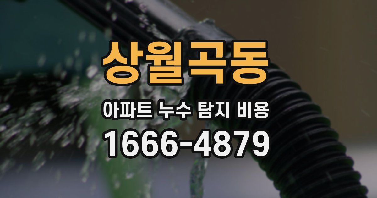 상월곡동 아파트 누수 탐지 비용