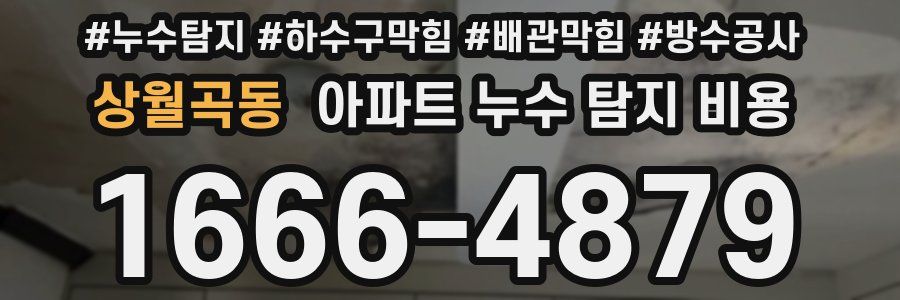 상월곡동 아파트 누수 탐지 비용
