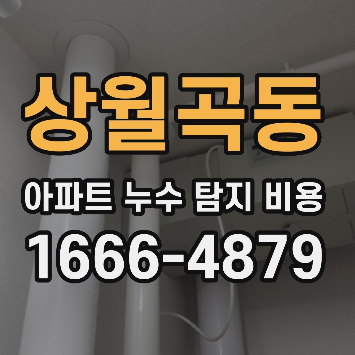 상월곡동 아파트 누수 탐지 비용