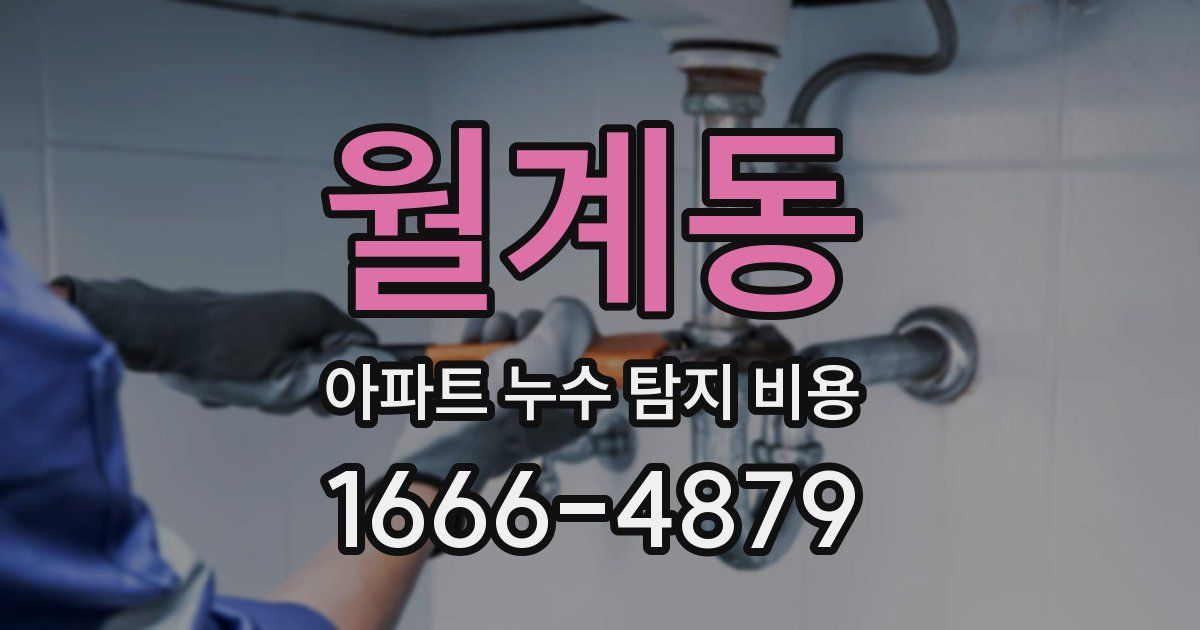 월계동 아파트 누수 탐지 비용